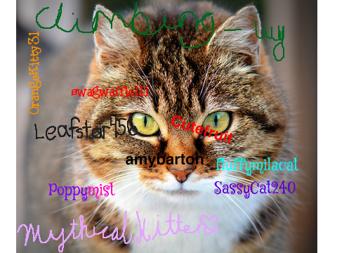 Sign Here If You Love Cats! Remix remix remix remix remix