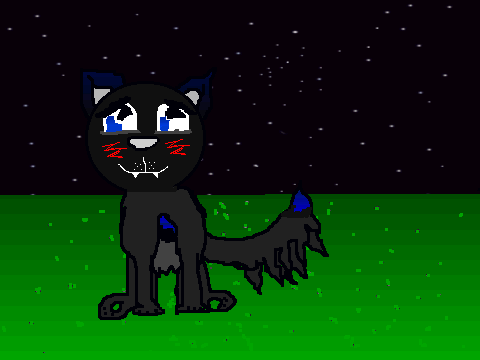 MidnightJewel