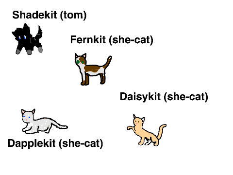 Onetail & Raincloud's kits
