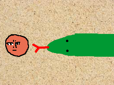 Snak