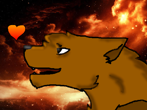 ▂▃▄▅▆▇█▓▒░SAIL░▒▓█▇▆▅▄▃▂