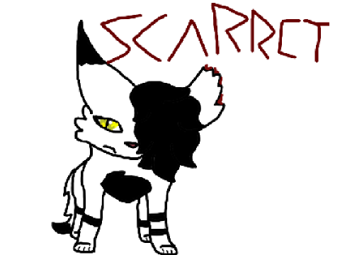 my remade cat