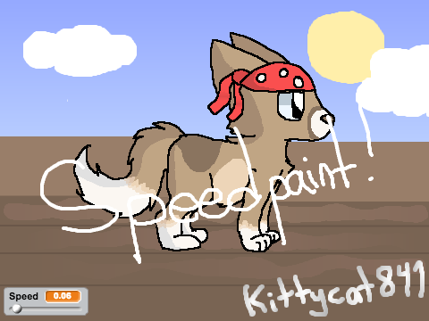 Pirate cat | Speedpaint