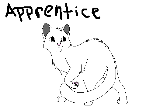 Apprentice Bio