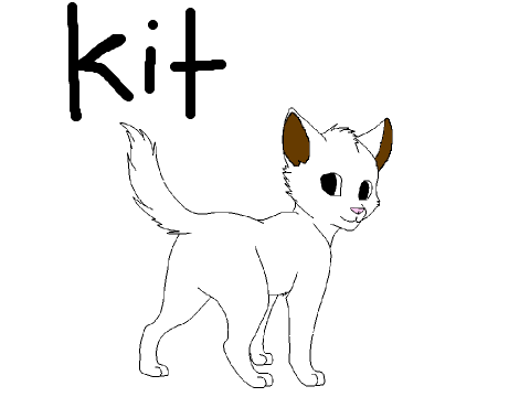Kit Bio