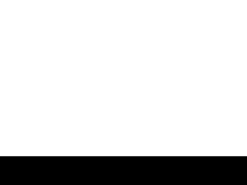 logo cat