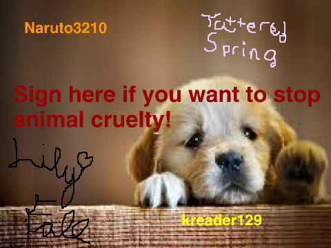 Sign here if you want to stop animal cruelty! remix remix remix