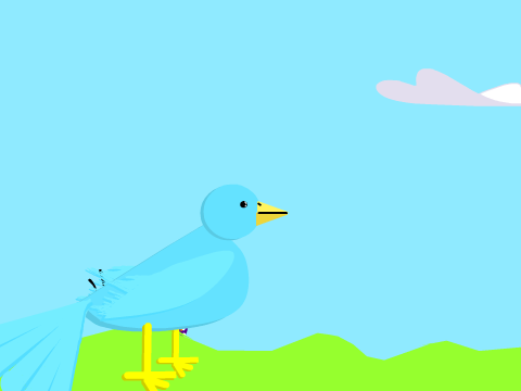 Bird