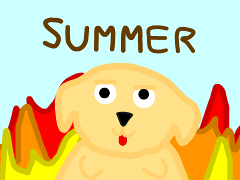 The summer