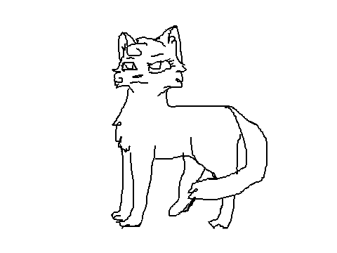 Cat template