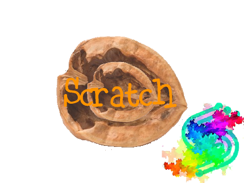 Scratch in a Nutshell in a Nutshell