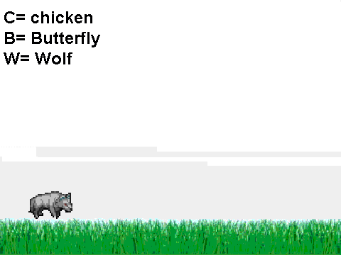 animal movement test