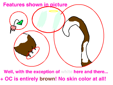 MY NEW FURSONA OC!!