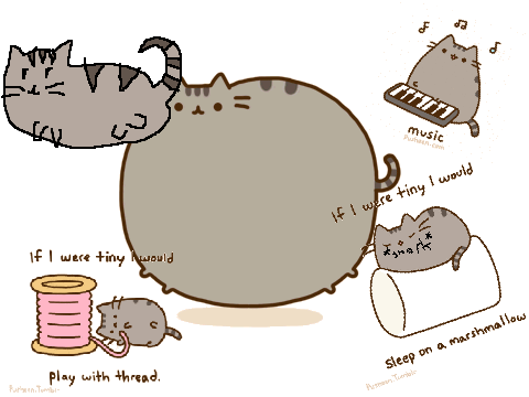 PUSHEEN!!!!!!!!!!!
