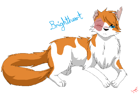Starclan's Light ~ Blixemi