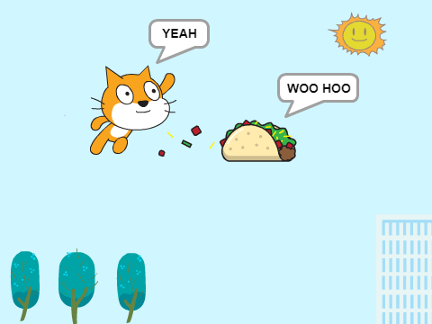 FLYING TACO & CAT!