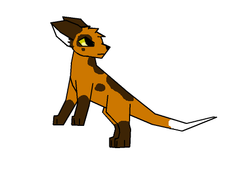 Foxstar // SunClan