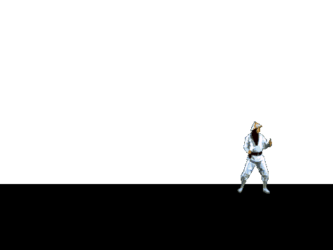 Raiden