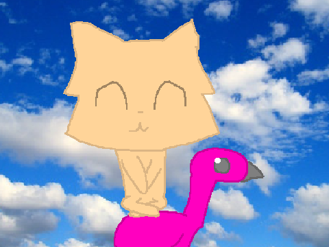 0 T T E R P 0 P M E M E