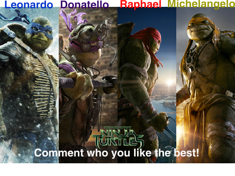 Which is the best Teenage Mutant Ninja Turtle?