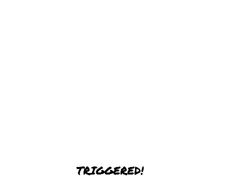 WHAT TRIGGERED PEOPLE LOOK LIKE!