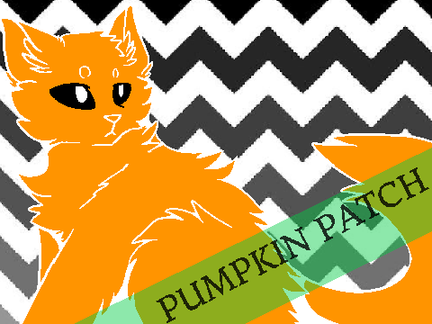 Pumpkin Patch