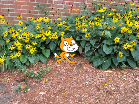 pretty kitty!!!!!!!!!!!!!