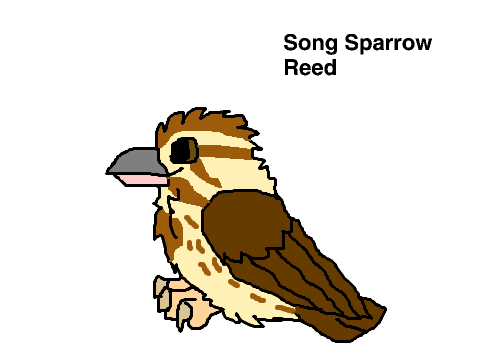 Seven Birds RP ~ My Characters