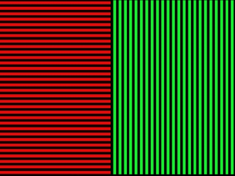 The McCollough Effect