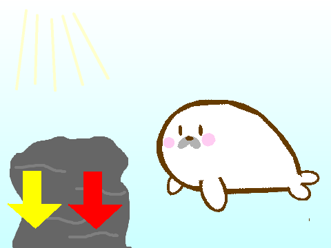 アシカ。。。。？