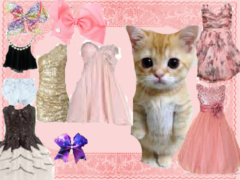 Kitten dress up