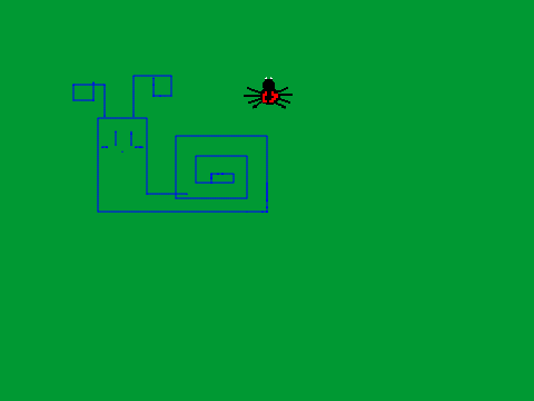 spider
