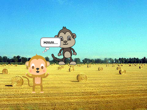 hay  feild