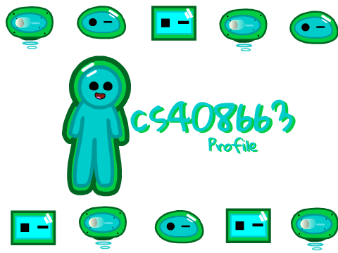 cs408663