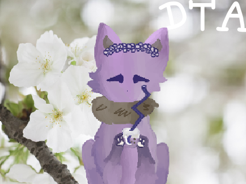 ○ DTA┆OPEN ○ remix