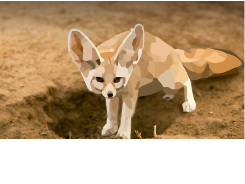 Fennec Fox Blockshade