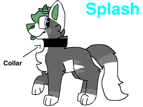 Splash Ref