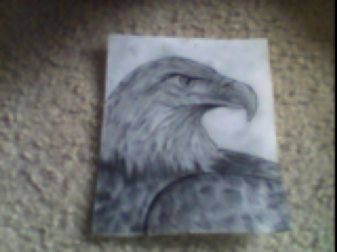 my attempt to draw an eagle 