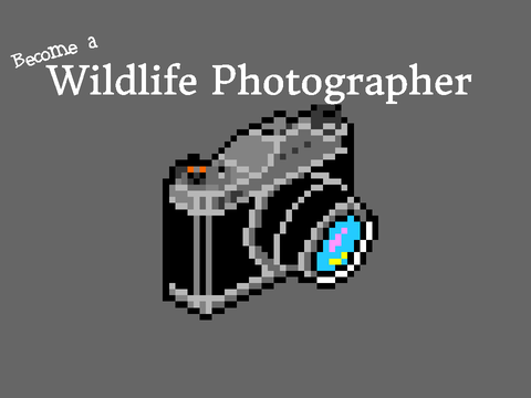 Become a Wildlife Photographer V2.3