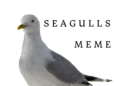 { + SEAGULLS + } [MEME]