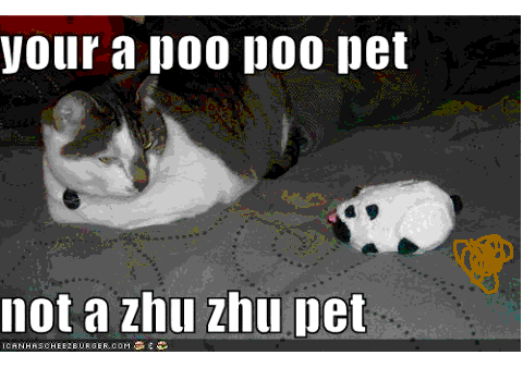 Poo Poo Pet