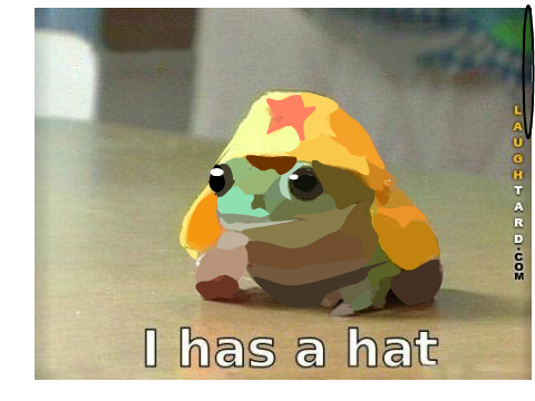I has a hat Blockshade