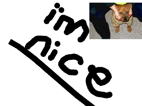 I'm nice