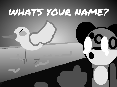 Whats Your name?