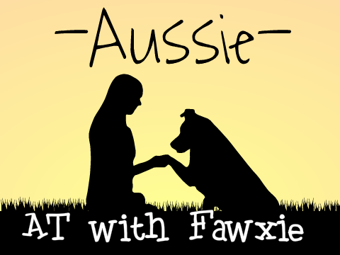 AT with Fawxie