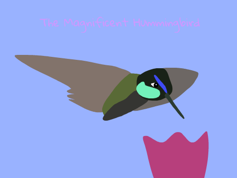 ~ Magnificent Hummingbird Blockshade ~ 