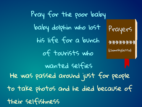 Pray for the dolphin