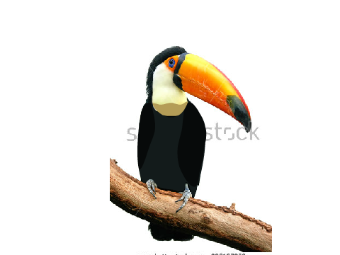 Toucan Block shade! (REQUEST)