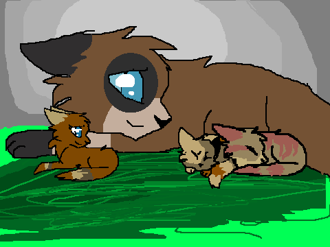 Avalonsong's First Litter