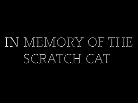 In Memory Of The Scratch Cat